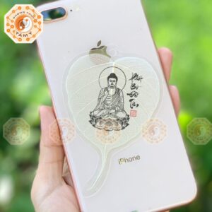 xr:d:DAFNwgxXEqo:64,j:36880626233,t:22100211