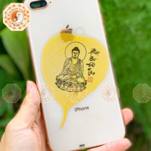 xr:d:DAFNwgxXEqo:64,j:36880626233,t:22100211