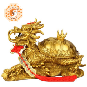 Long Quy Rùa Đầu Rồng