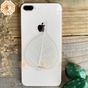 Xương Lá Bồ Đề Trơn Nhuộm Trắng 5